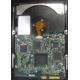 Электроника жёсткого диска 146Gb HP 481653-002 DF146BAFDU (Нальчик)
