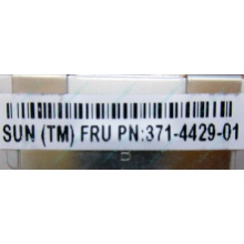 Серверная память SUN (FRU PN 371-4429-01) 4096Mb (4Gb) DDR3 ECC в Нальчике, память для сервера SUN FRU P/N 371-4429-01 (Нальчик)