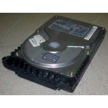 Жесткий диск 18.4Gb Quantum Atlas 10K III U160 SCSI (Нальчик)