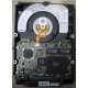 Жесткий диск 18.2Gb IBM Ultrastar DDYS-T18350 Ultra3 SCSI (Нальчик)