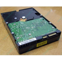 Б/У жёсткий диск 400Gb WD WD4000YR Caviar RE2 7200 rpm SATA  (Нальчик)