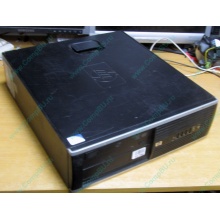 Б/У компьютер HP Compaq 6000 SFF (Intel Pentium Dual Core E5400 (2x2.7GHz) /2Gb /320Gb /ATX 240W minidesktop /WINDOWS 7 PRO) - Нальчик