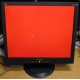 Монитор 19" ViewSonic VA903b (1280x1024) есть битые пиксели (Нальчик)