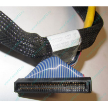 Кабель SCSI HP 166298-037 для HP ML370 G4 (Нальчик)