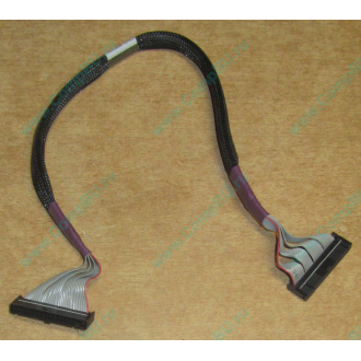 FDD-кабель HP 271946-006 для HP ML370 G3 G4 (Нальчик)