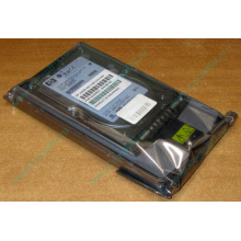 Жёсткий диск 146.8Gb HP 365695-008 404708-001 BD14689BB9 256716-B22 MAW3147NC 10000 rpm Ultra320 Wide SCSI купить в Нальчике, цена (Нальчик).