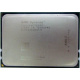 AMD Opteron 6128 OS6128WKT8EGO (Нальчик)
