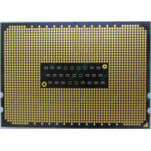 AMD Opteron 6128 OS6128WKT8EGO (Нальчик)