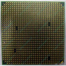 Процессор AMD Athlon 64300+ (1.8GHz) ADA3000IAA4CN s.AM2 (Нальчик)